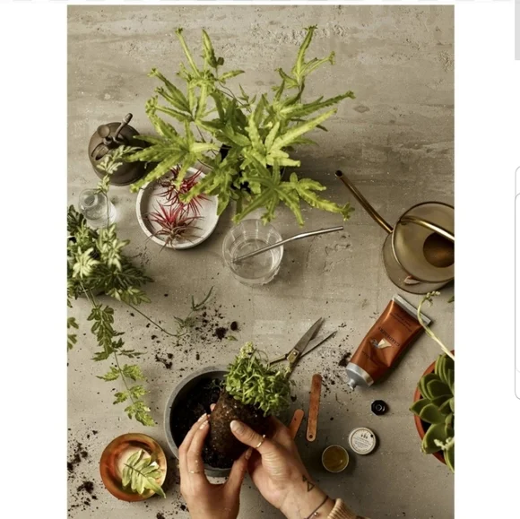 Crabtree & Evelyn Gardeners Hand Therapy ♥ - Picture 2 of 3